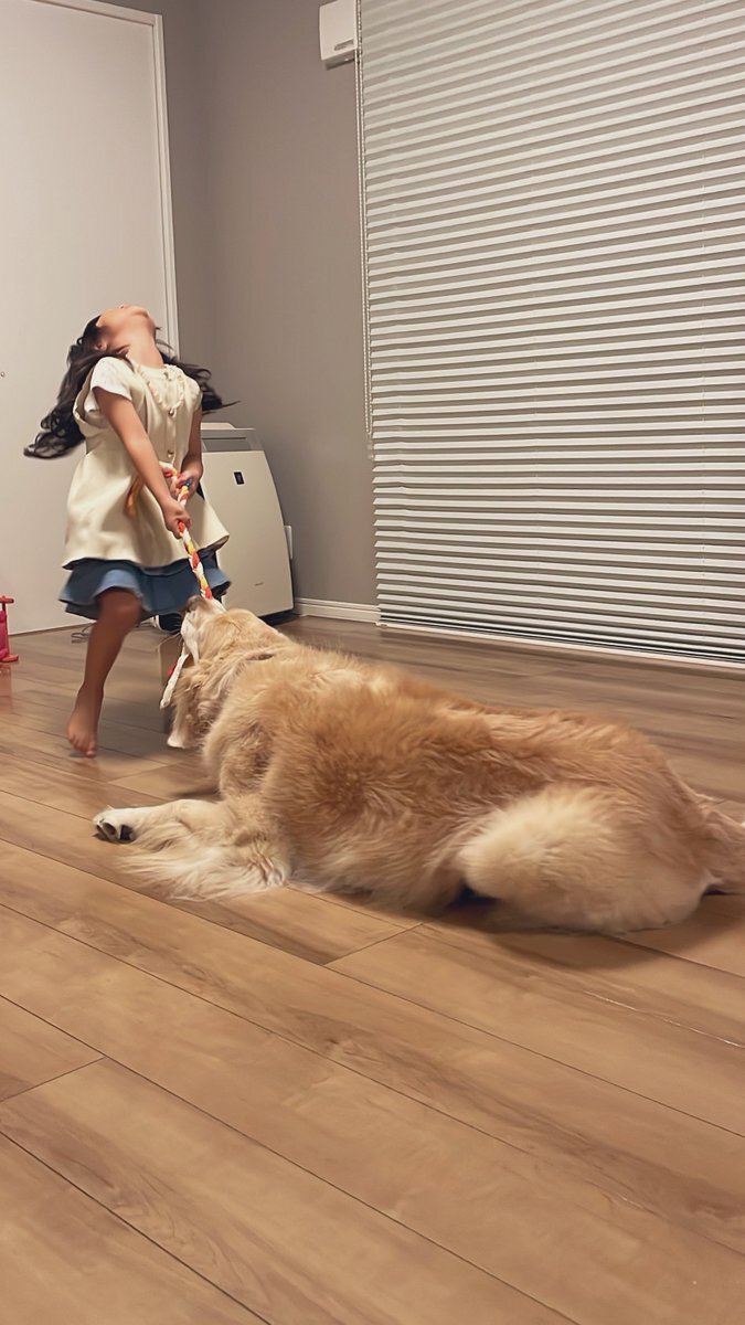 ラストワン賞 犬カバ Ver. ラストワン賞 番犬ガオガオ イギーver. - メルカリ