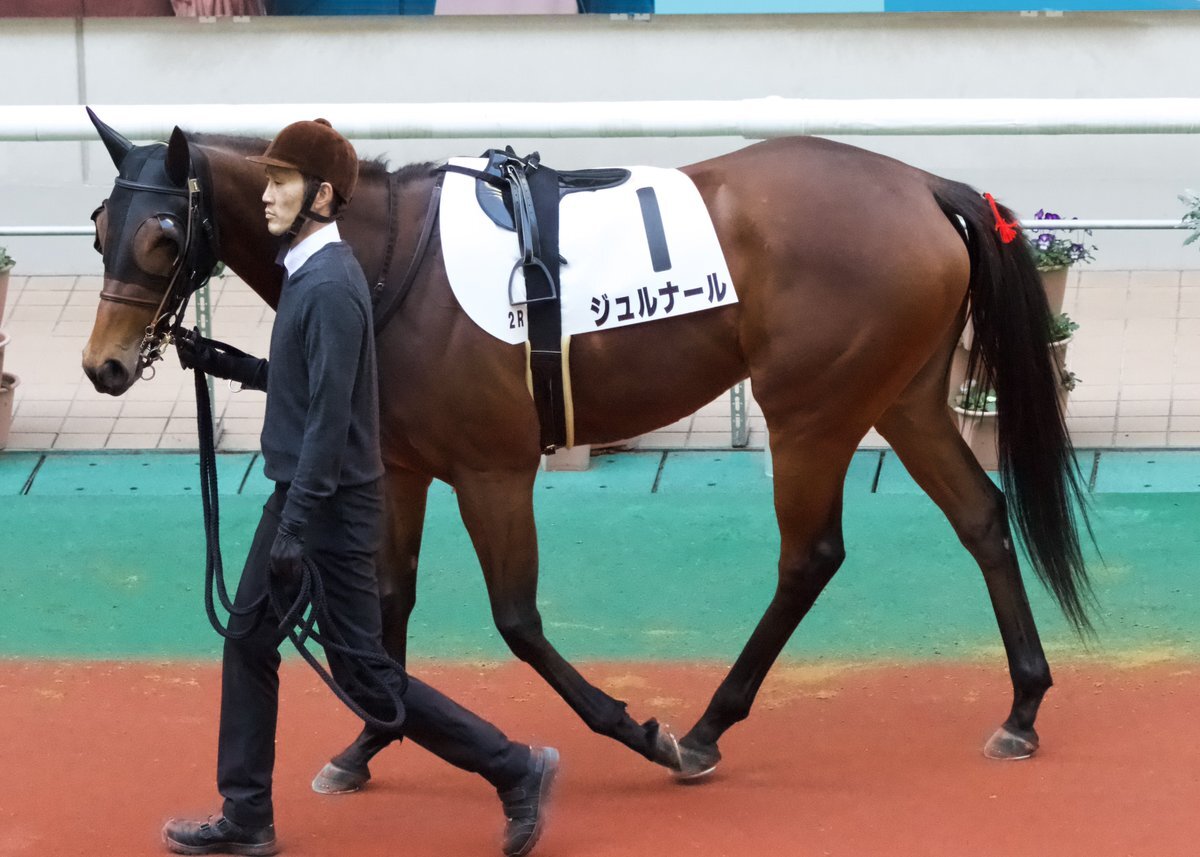 ジュルナールのレース、結果は？