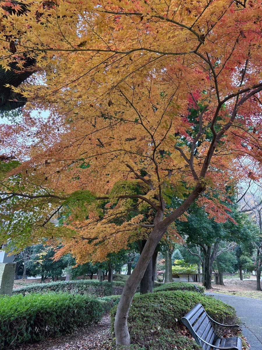 青森県東方沖地震：大きな被害を心配する声