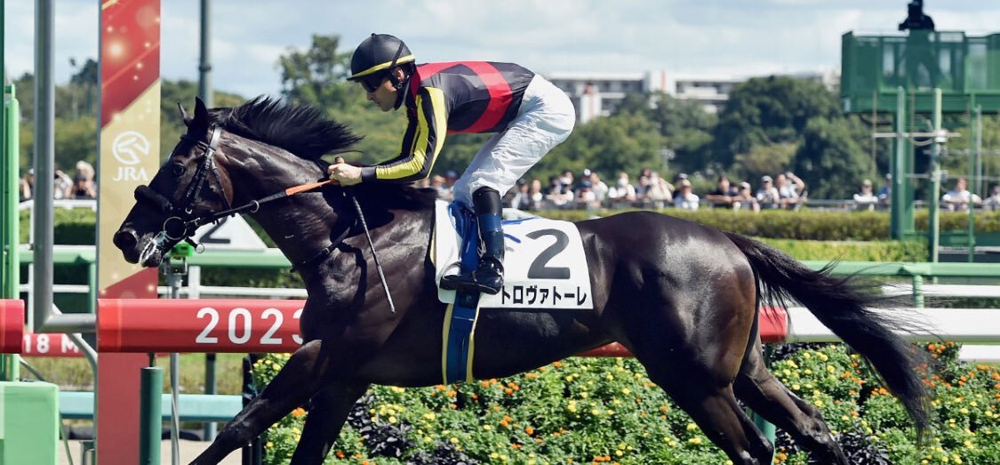トロヴァトーレ、ペルセウスSで3着！今後の活躍は？