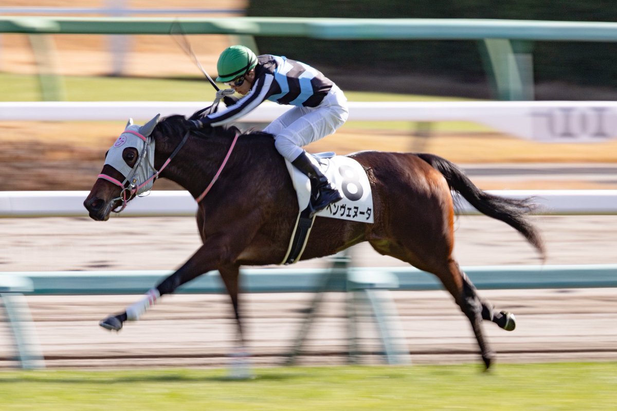 ベンヴェヌータ、中山新馬戦で圧勝！17倍からの逆転劇にファン興奮