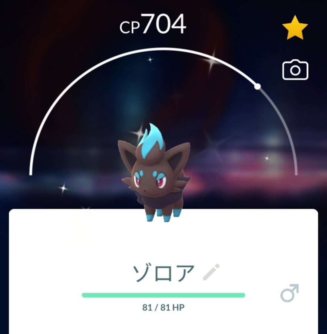 ゾロア xxl」のYahoo!リアルタイム検索 - X（旧Twitter）を