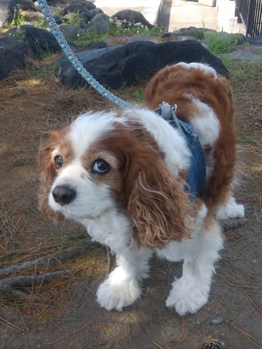 ビン牛乳の日！SNSで銭湯の思い出と美味しさを語る