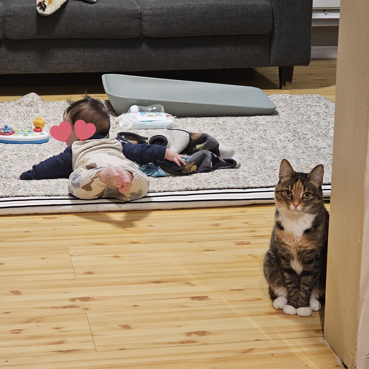 トムヤムクン」のYahoo!リアルタイム検索 - X（旧Twitter）を