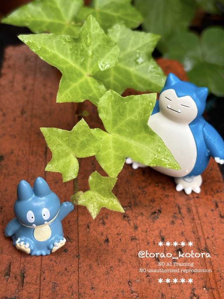 ポケモンキッズ　カビゴン進化⑥ キョダイマックス ポケモンキッズ カビゴン(キョダイマックス