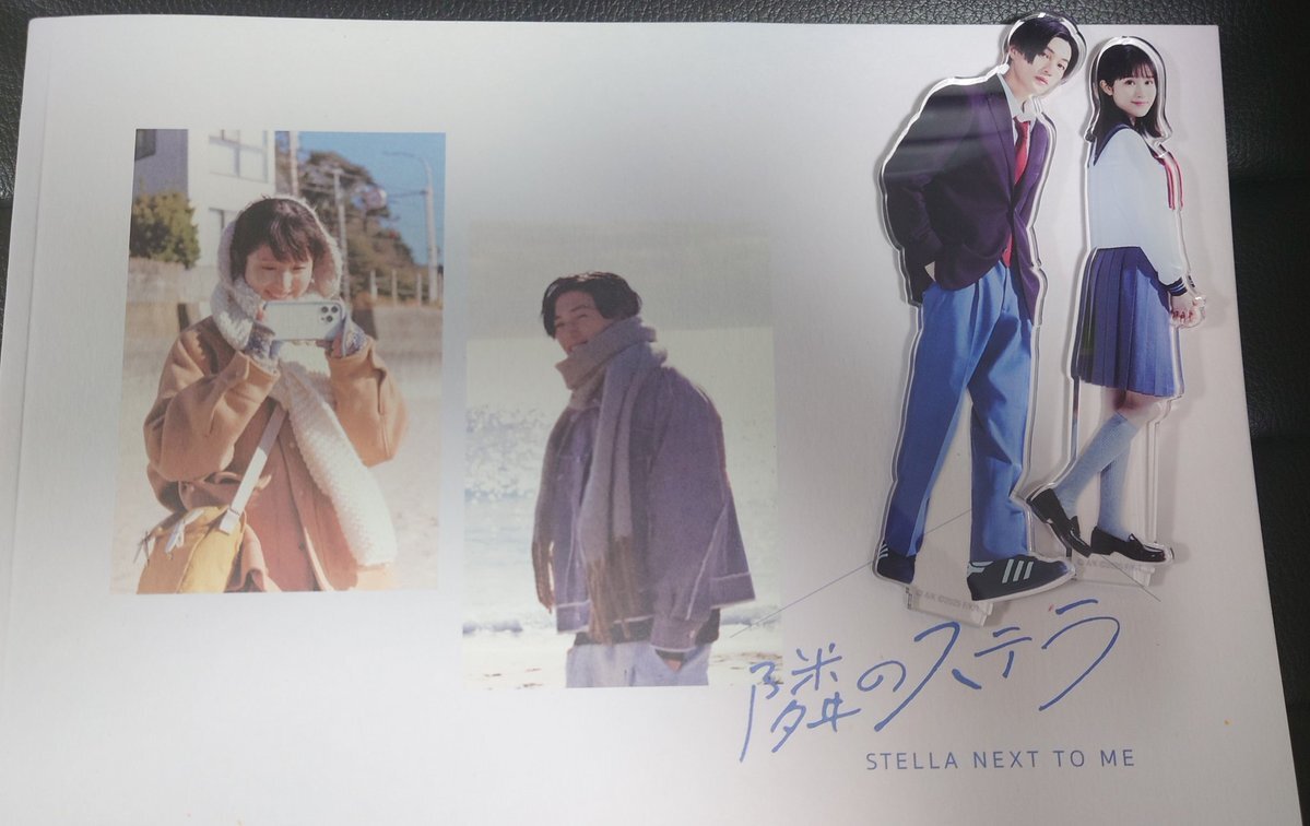 25819❤ ステラ好き(❀ᴗ͈ˬᴗ͈)\" 映画パンフレット Amazon.co.jp: [TOHO]東宝 映画 隣のステラ 映画チラシ 日本