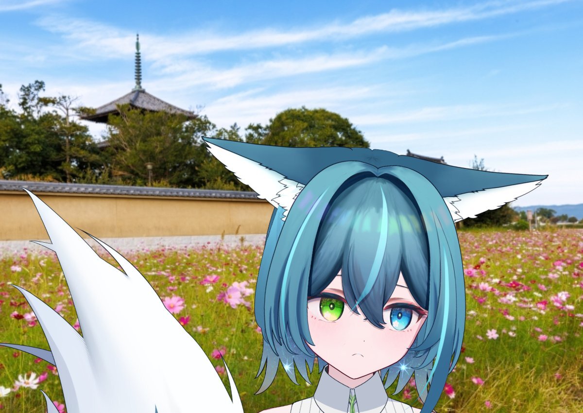 X（旧Twitter）で話題のおもしろ画像や動画 - Yahoo