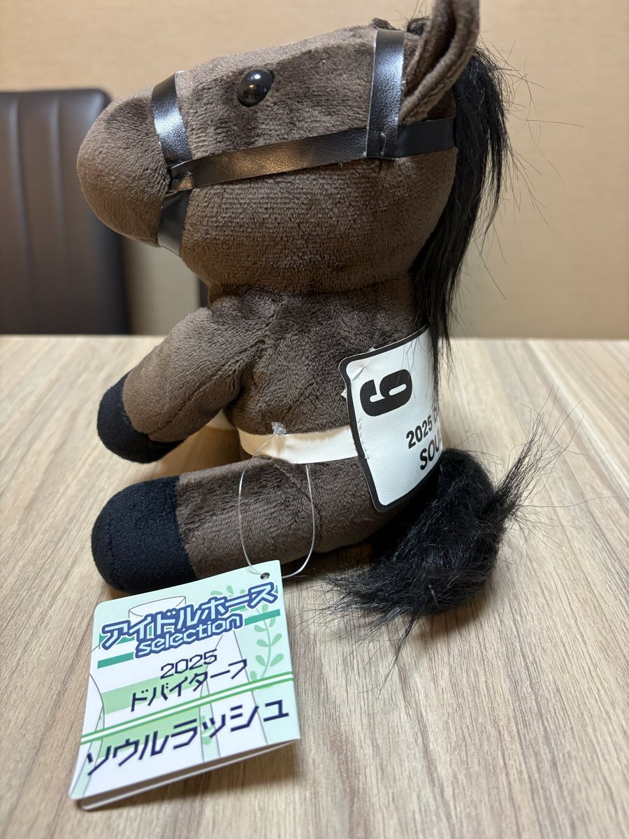 富士ステークス、ジャンタルマンタルとソウルラッシュが激突！