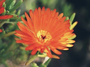 百円玉記念日：1957年の誕生を振り返る