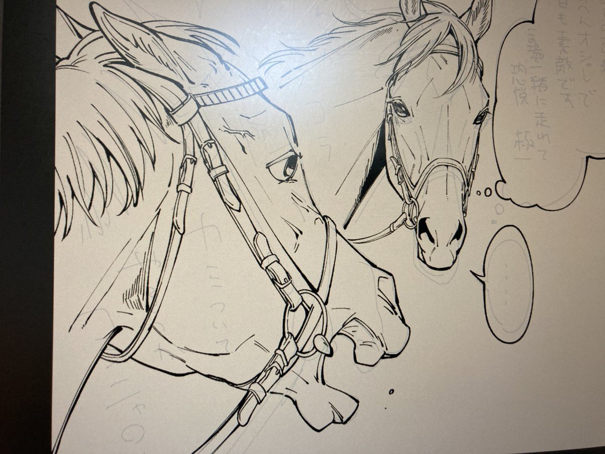 ロイヤルファミリー、ホープとヴァルシャーレ産駒の対決にファン興奮！