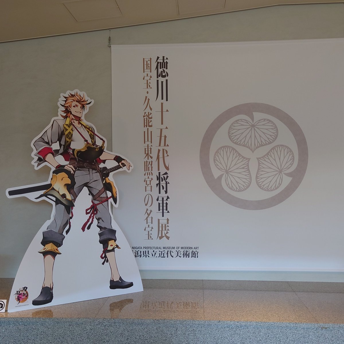 やっさん mqdefault.jpg