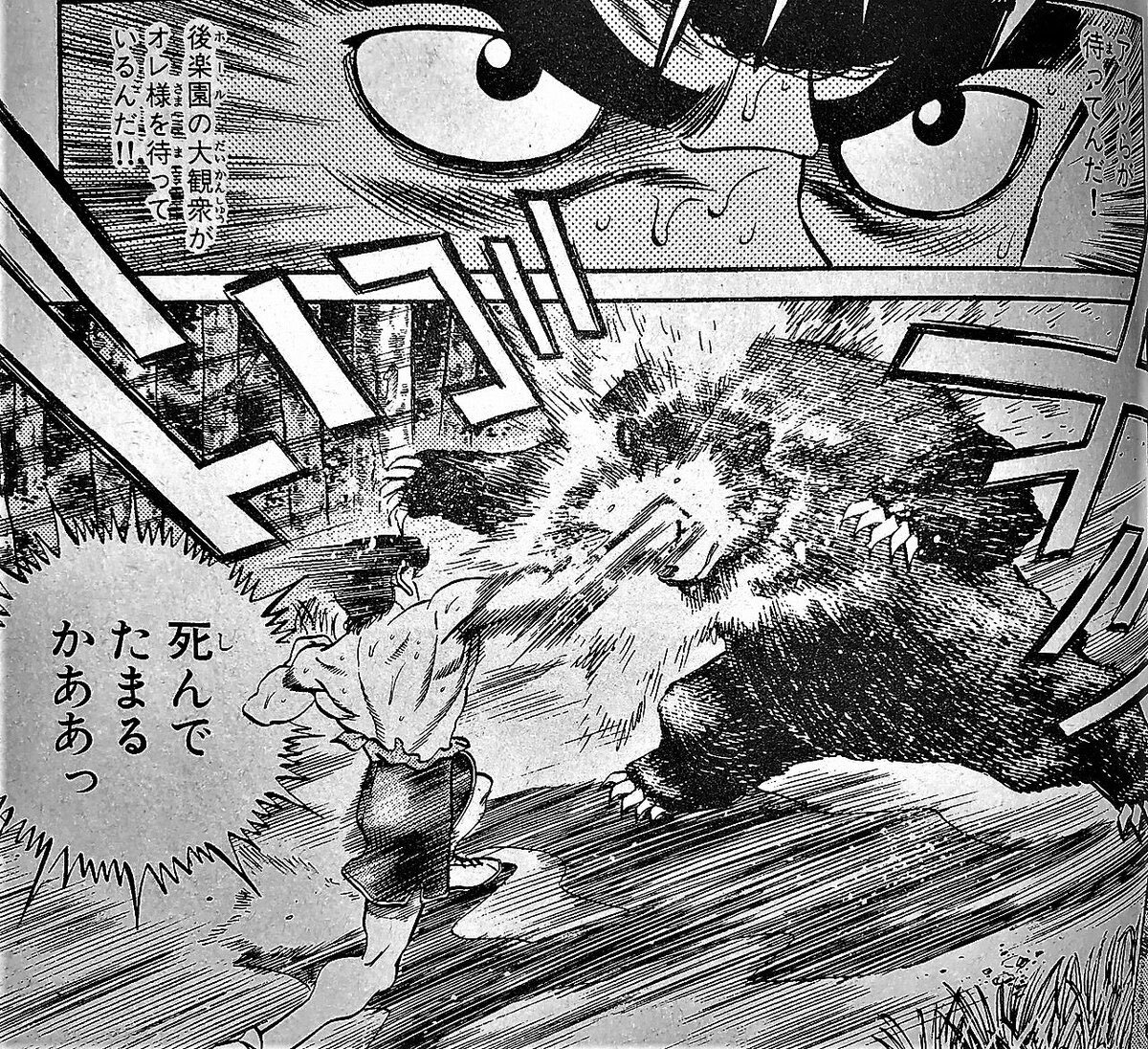 熊さんと遭遇？SNSで話題に