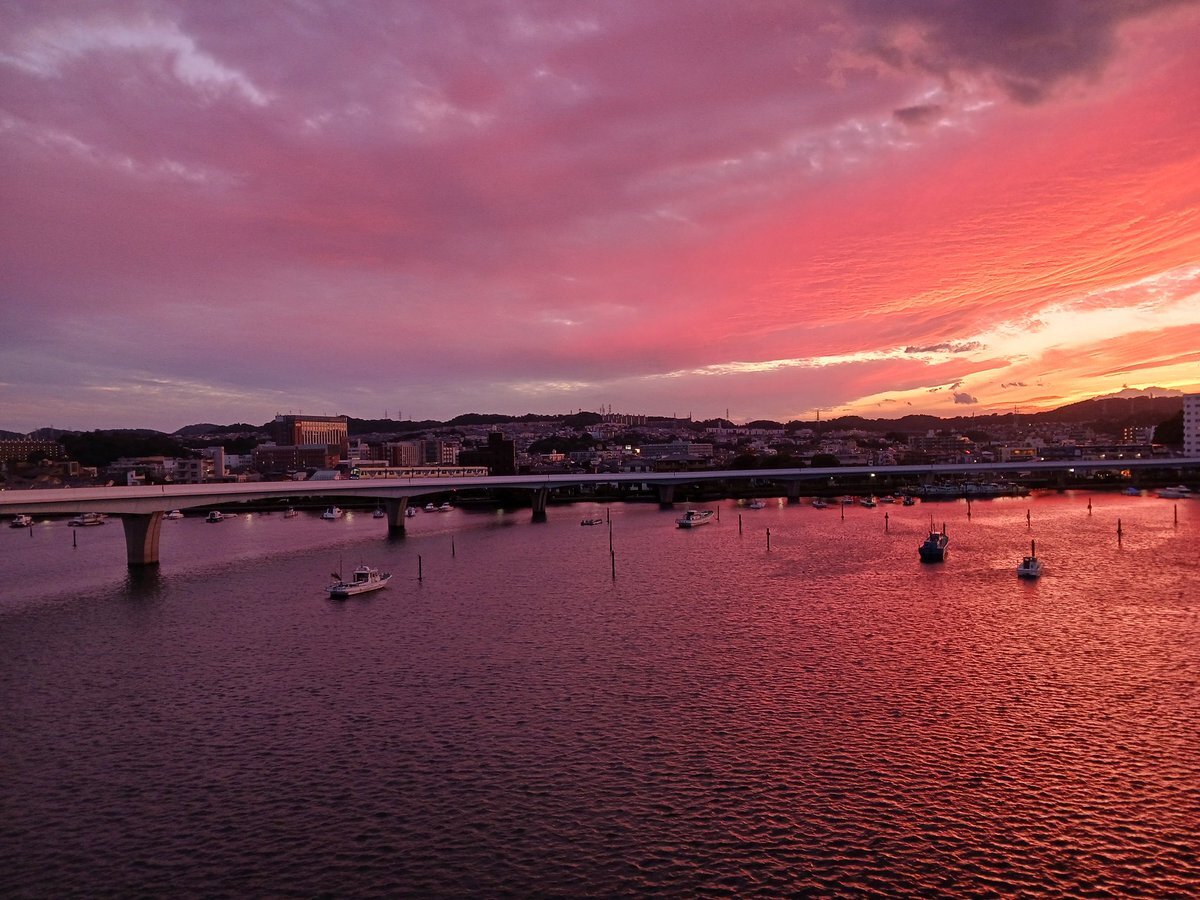 クリスマスツリーの日、日本初の飾り付けから歴史を振り返る