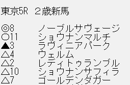 ノーブルサヴェージ、新馬戦で圧勝！SNSで喜びの声