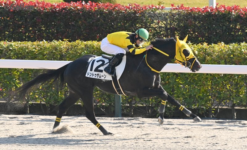 ドントゥザムーン、東京競馬で勝利！ 