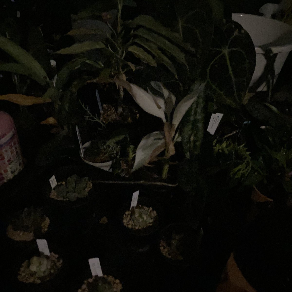 睡眠不足に悩む人々、SNSで共感の声続出