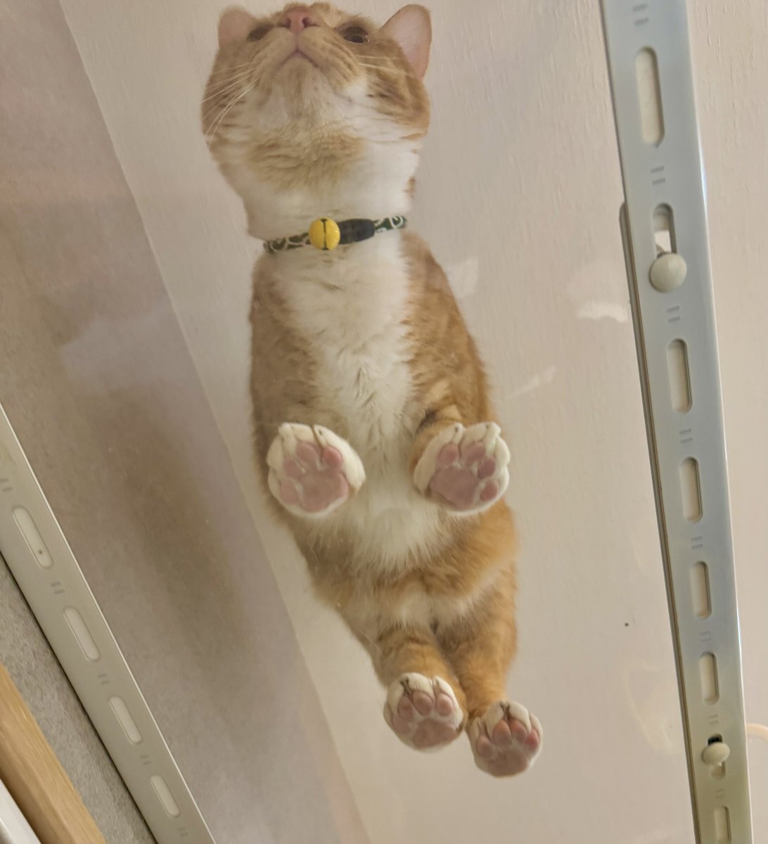 しゃべくり様 20190723NW00894.jpg?impolicy=