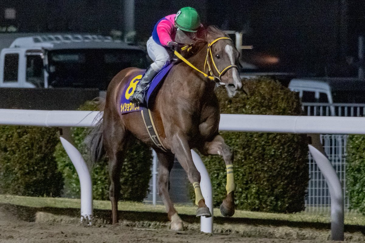 メイショウハリオ、無事引退！ファンから祝福の声