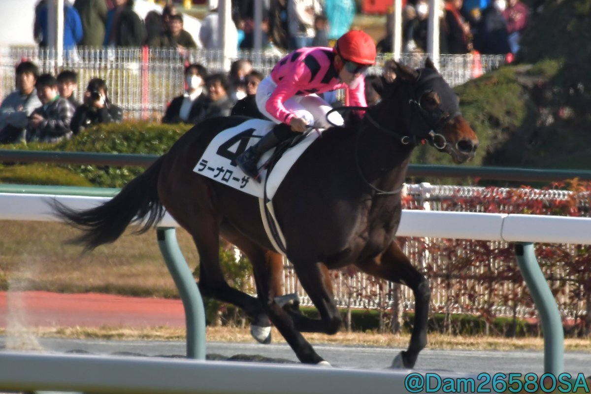 ラーナローザ、大久保友雅騎手とのコンビで快勝！
