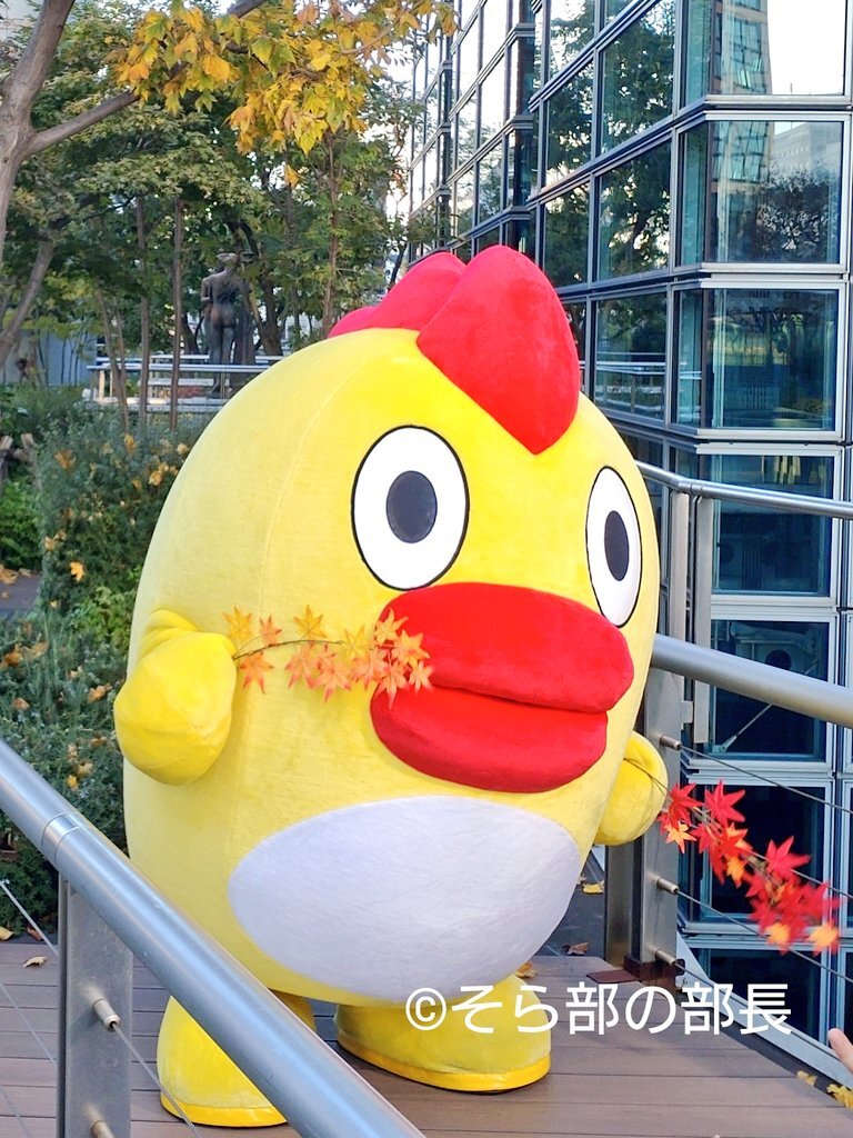 そらジロー そらジロー zip」のYahoo!リアルタイム検索 - X（旧Twitter）を