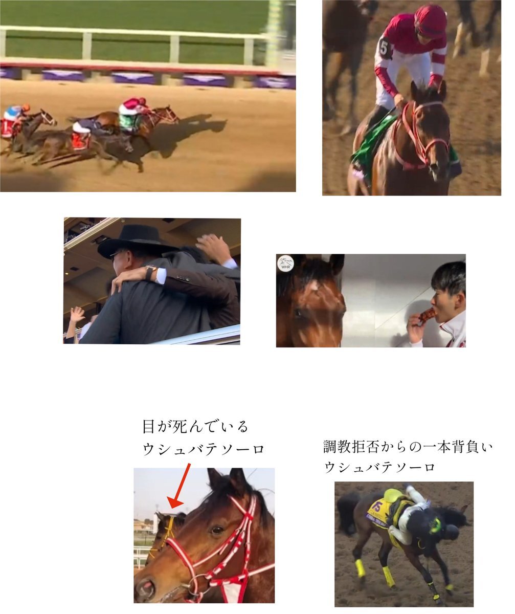 フォーエバーヤング、日本競馬史上最高賞金獲得！