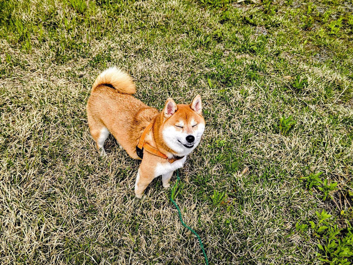 Twitterで話題の睡眠事情、一体なぜ？