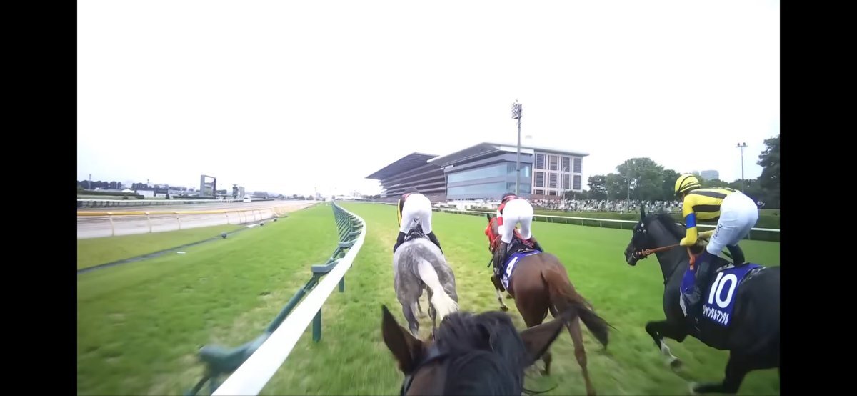 競馬オタクも感動！「ロイヤルファミリー」最終回、凱旋門賞勝利に沸く