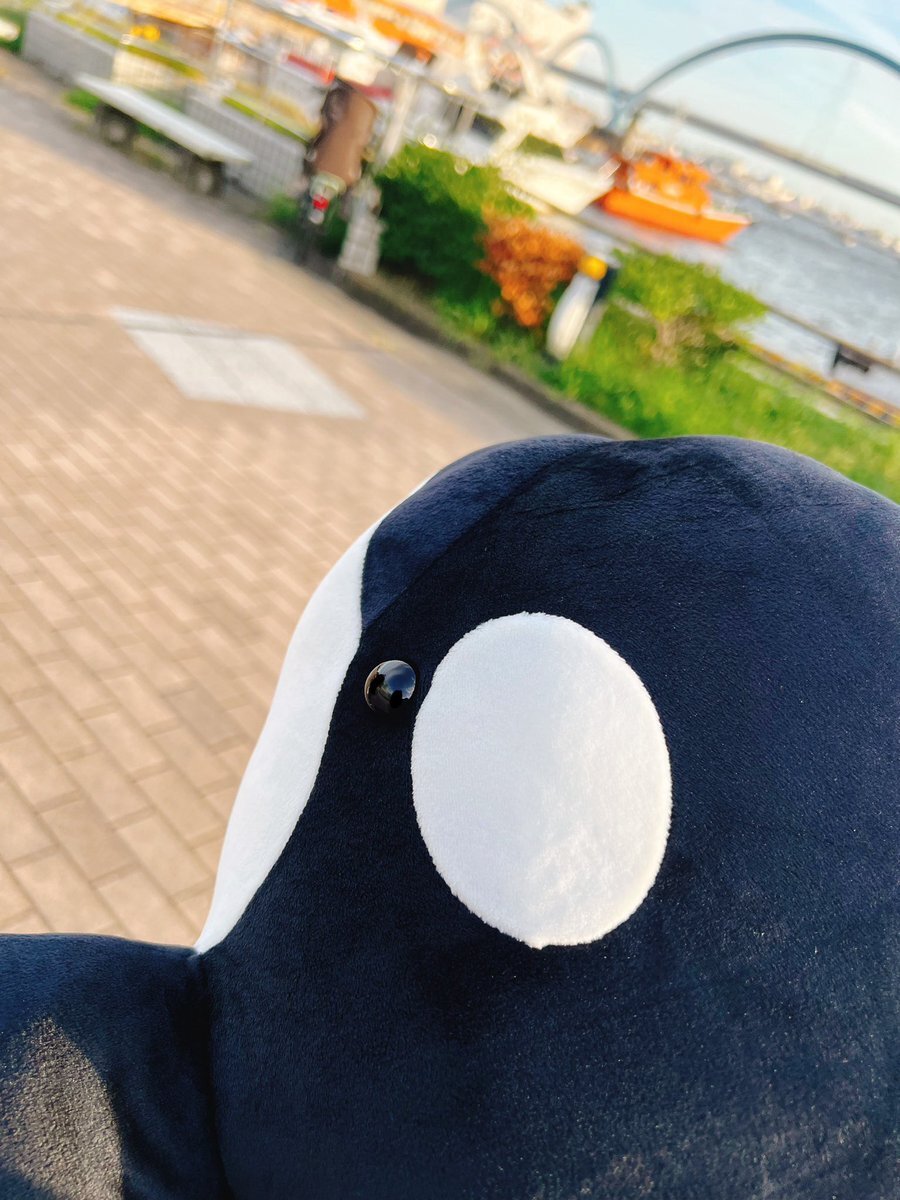 名古屋港水族館 ぬいぐるみくじ」のYahoo!リアルタイム検索 - X