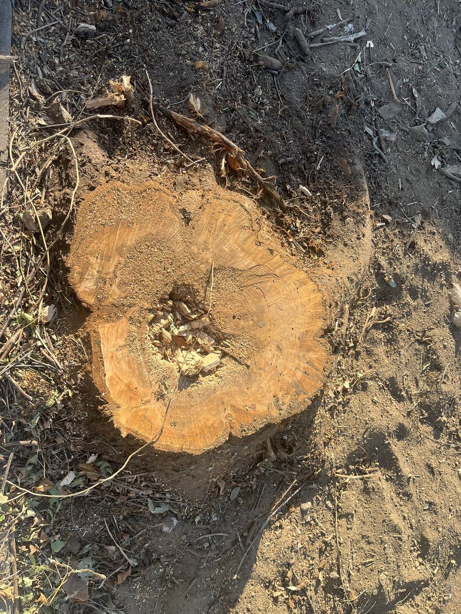 X（旧Twitter）で話題のおもしろ画像や動画 - Yahoo!リアルタイム検索