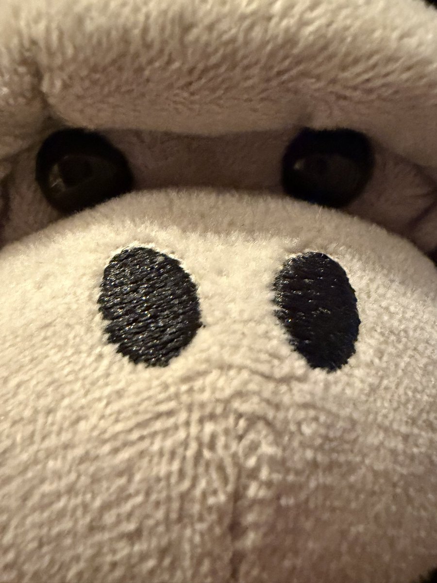 審判の判定に疑問の声！日本代表バスケ、台湾に2連勝