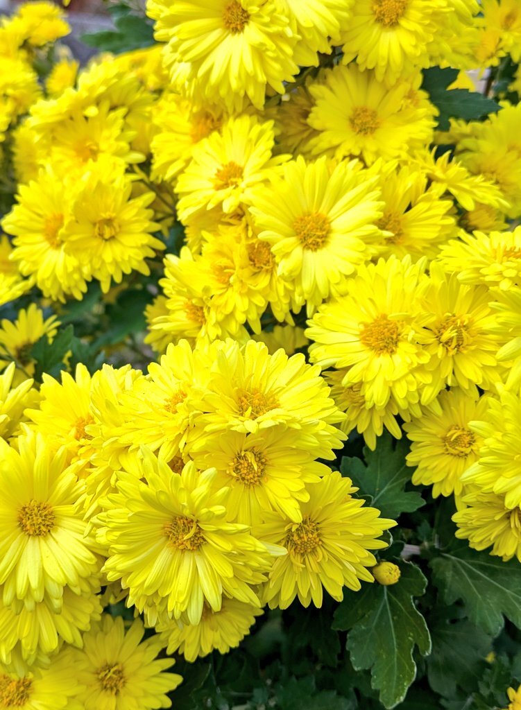 車のフロントガラス、凍結してる？