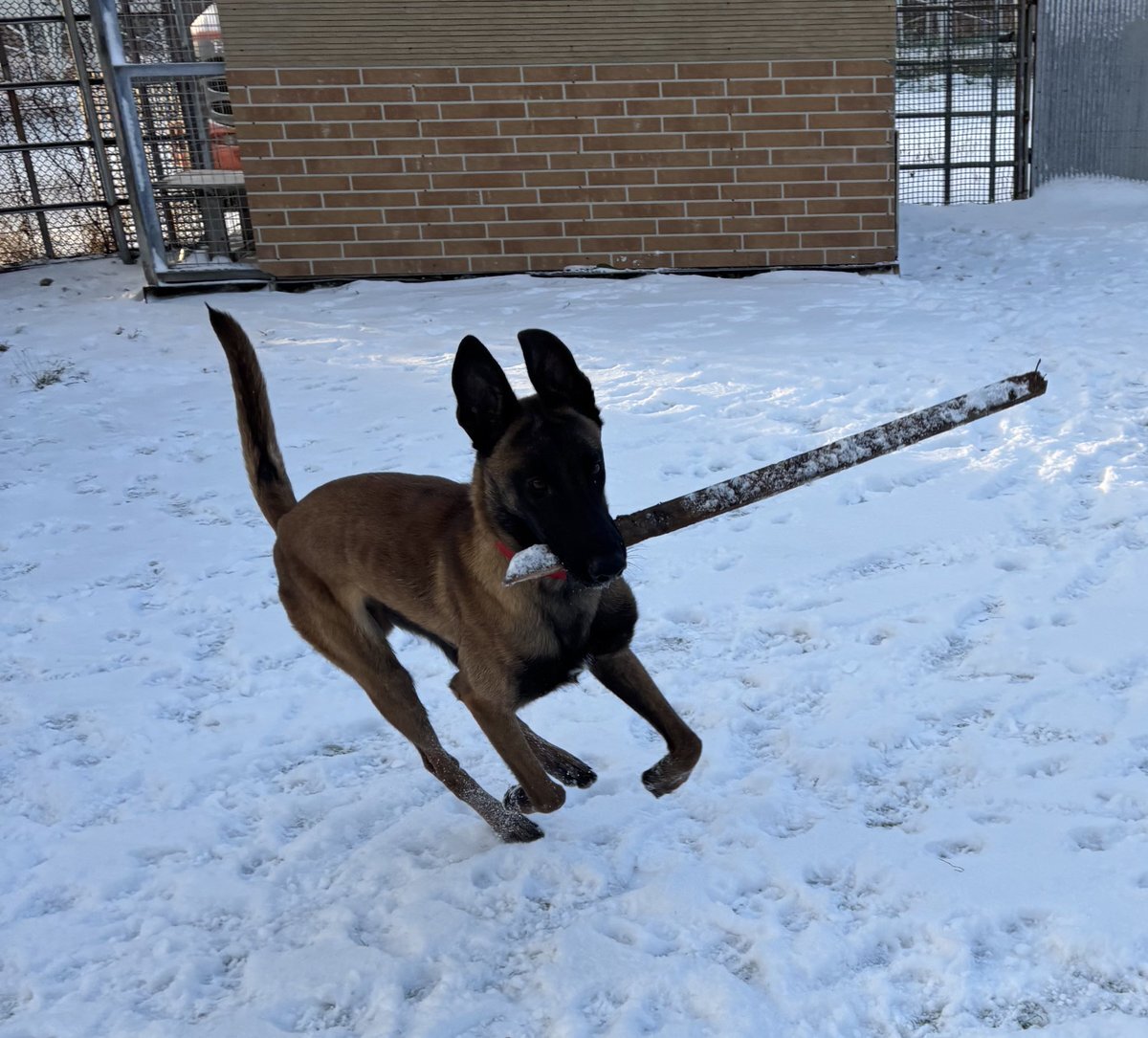青森県東方沖地震：津波警報発令、各地で被害報告