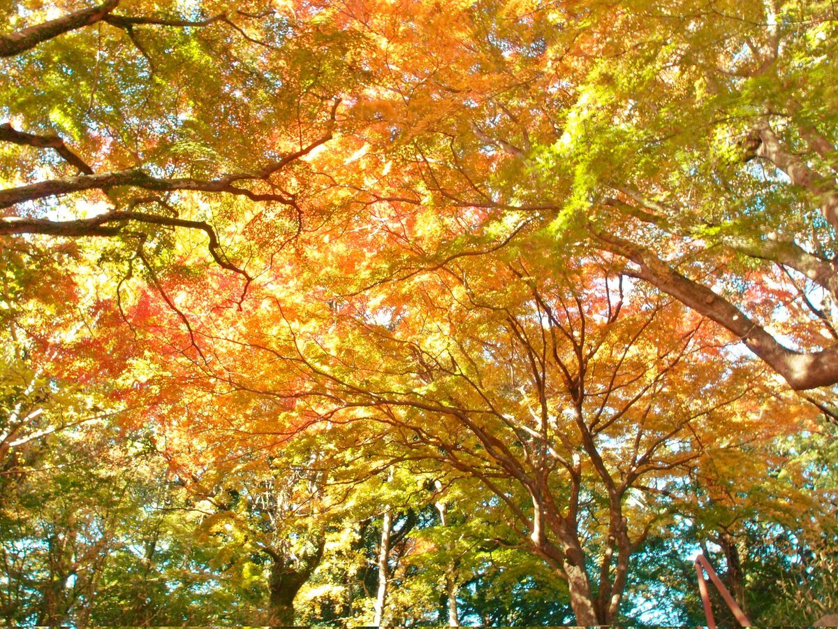 12月突入！SNSで「あと31日」に反応続出