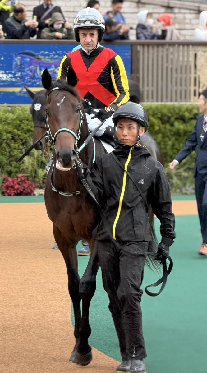 ウップヘリーア、デビュー戦で勝利！今後の活躍は？