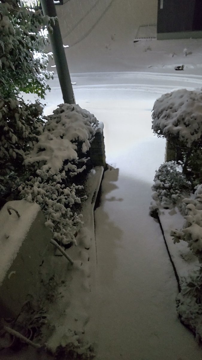 雪が降った地域で、どんな風景が広がっている？