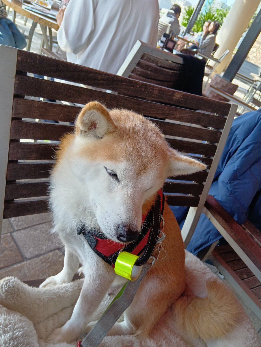 中国、台湾侵攻の可能性に日本社会は Divided