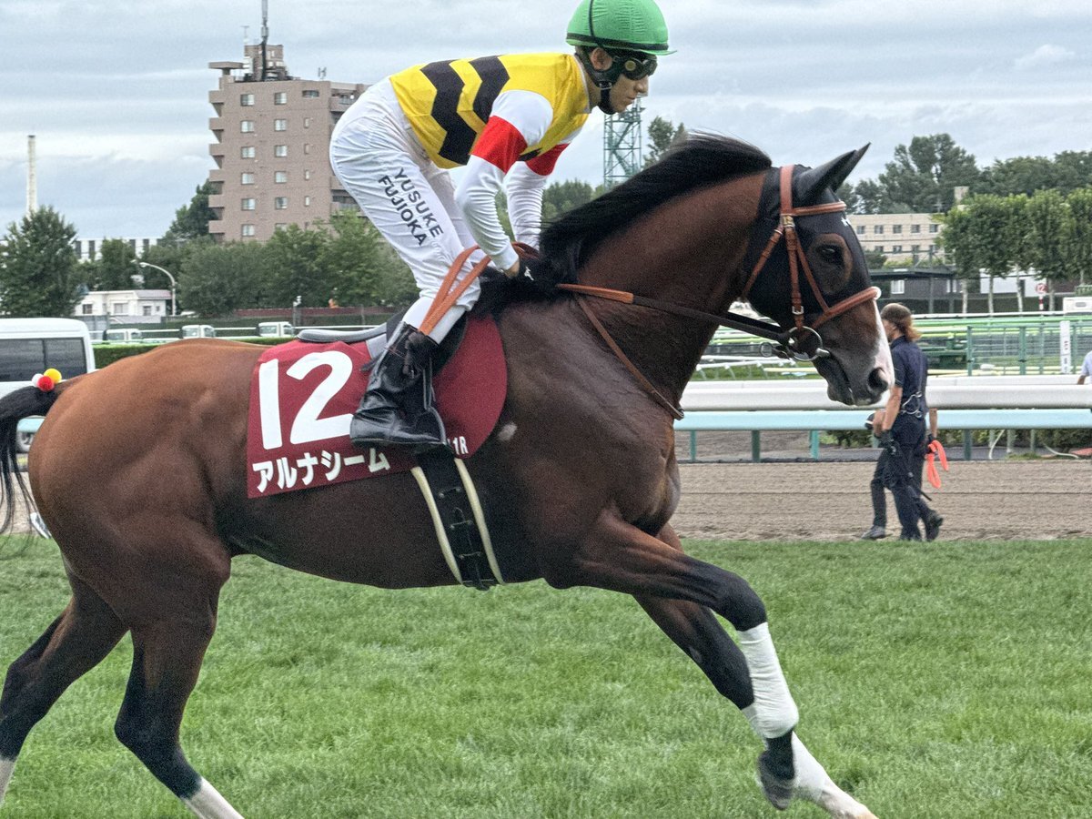 アルナシーム、有馬記念を回避！ファンは一体どう思っている？
