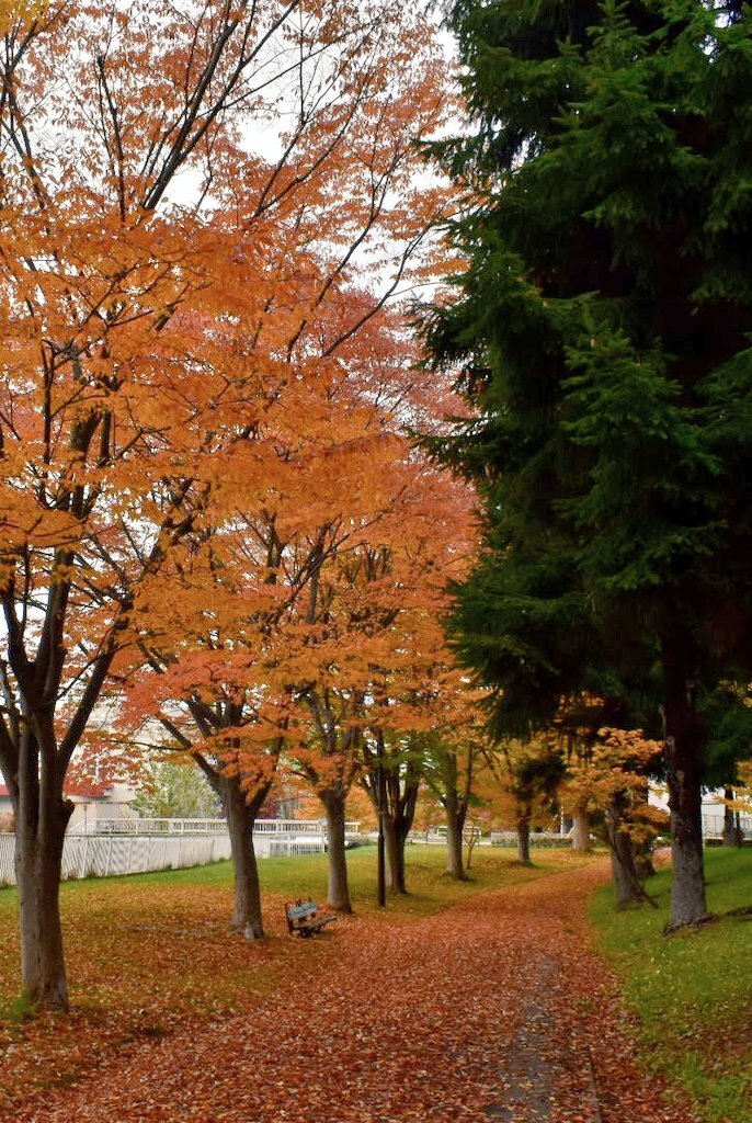 週末の始まりを告げるTwitter投稿 