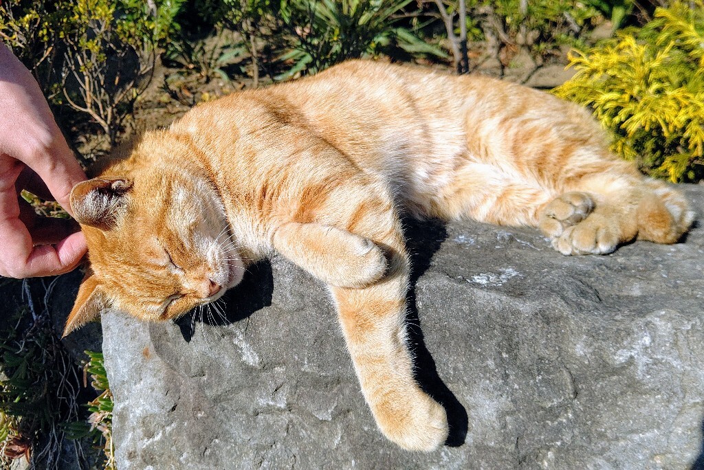 東北地方地震：SNSで避難体験と不安の声