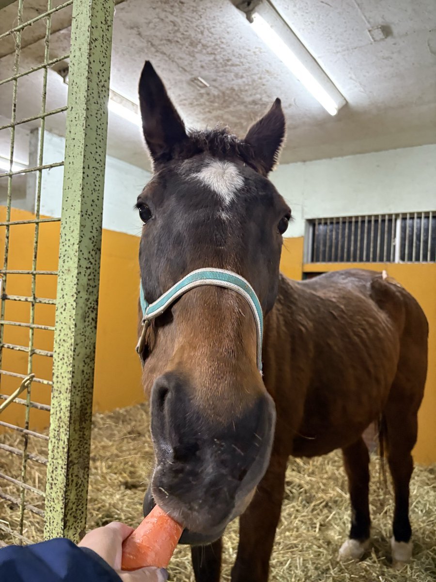 青森県東方沖地震、津波の影響で各地で不安の声