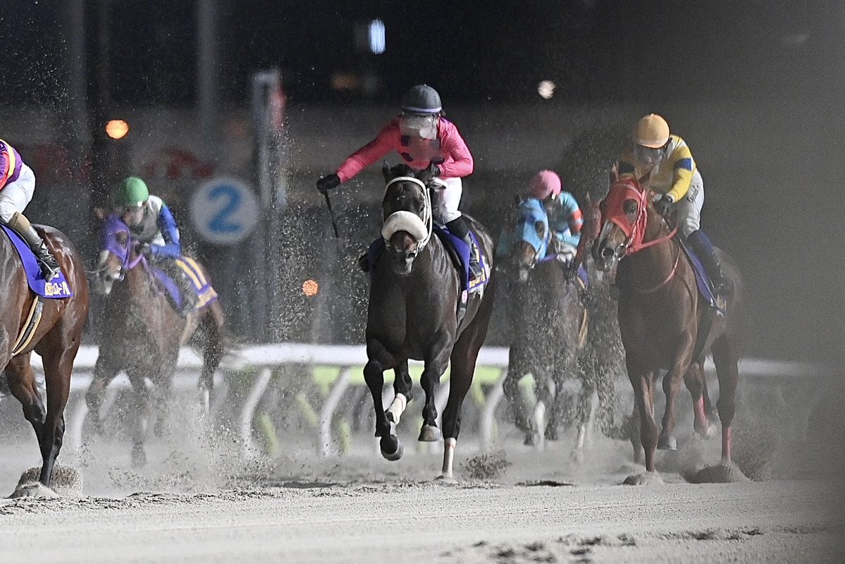 8番人気ベイビークエストがジェムストーン賞で波乱の勝利！