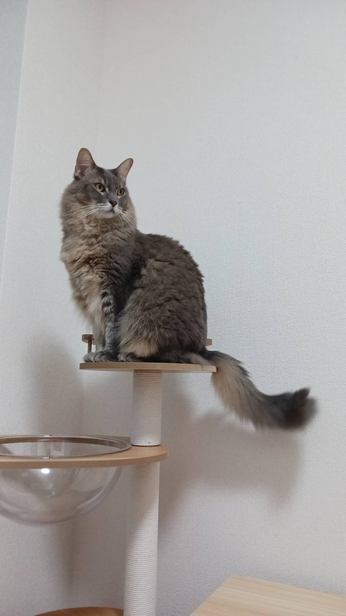 超特急「爪研げ」FNS歌謡祭で話題に！中毒性抜群の楽曲にファン興奮