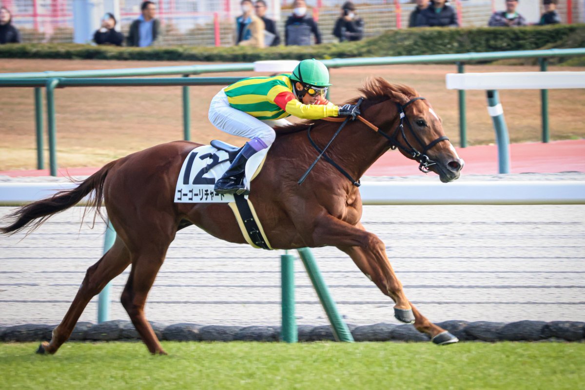 ゴーゴーリチャード、武豊騎手とのコンビでデビュー戦を勝利！