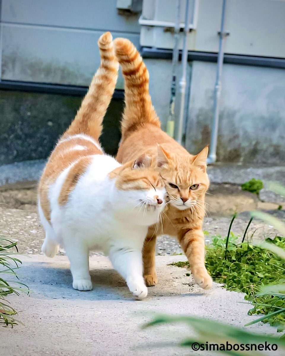 メルカリ」に関連する話題のポスト - Yahoo!リアルタイム検索