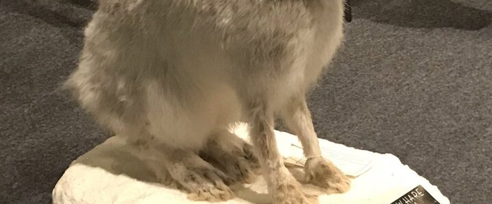 坂上田村麻呂」のYahoo!リアルタイム検索 - X（旧Twitter）を