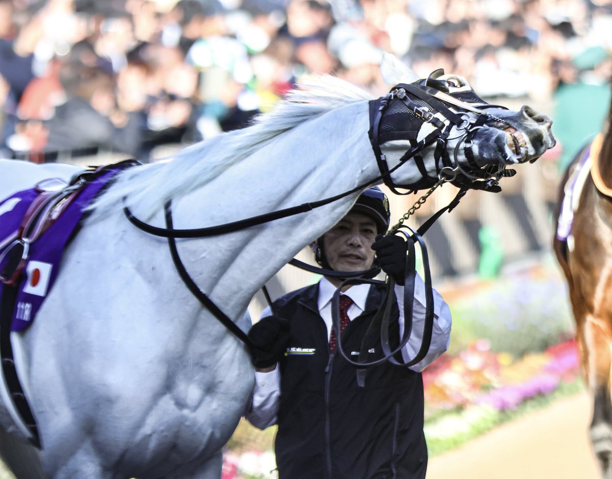 シェケナ2着！マイルCSで好走にファン興奮