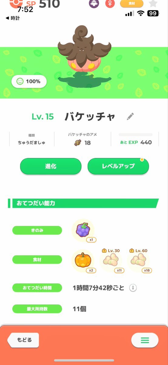 バケッチャのサイズで変わる！厳選の難しさとは？