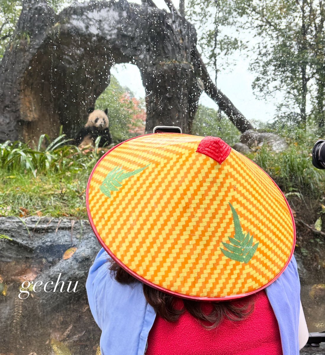 シャンシャン」のYahoo!リアルタイム検索 - X（旧Twitter）を