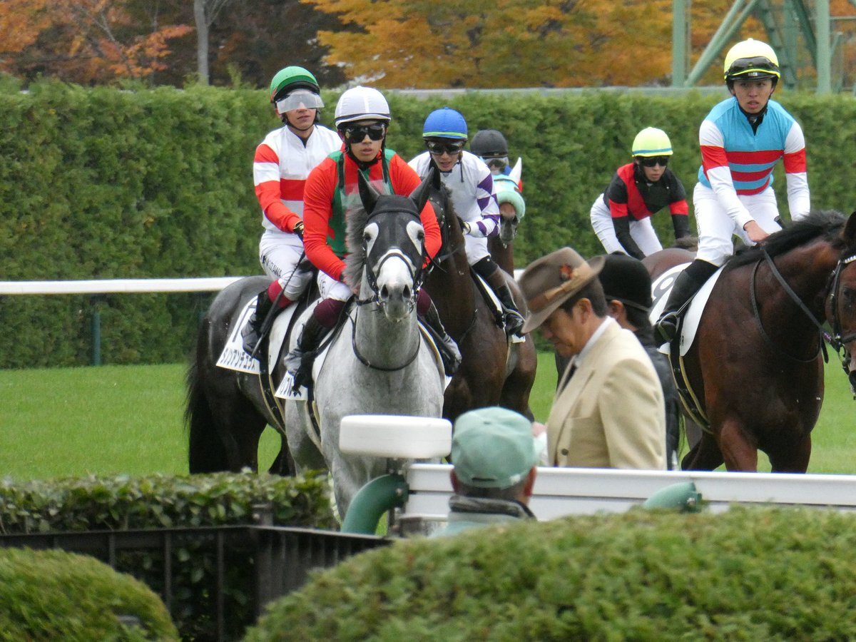 ペリプルス、直線で伸び悩んだ！