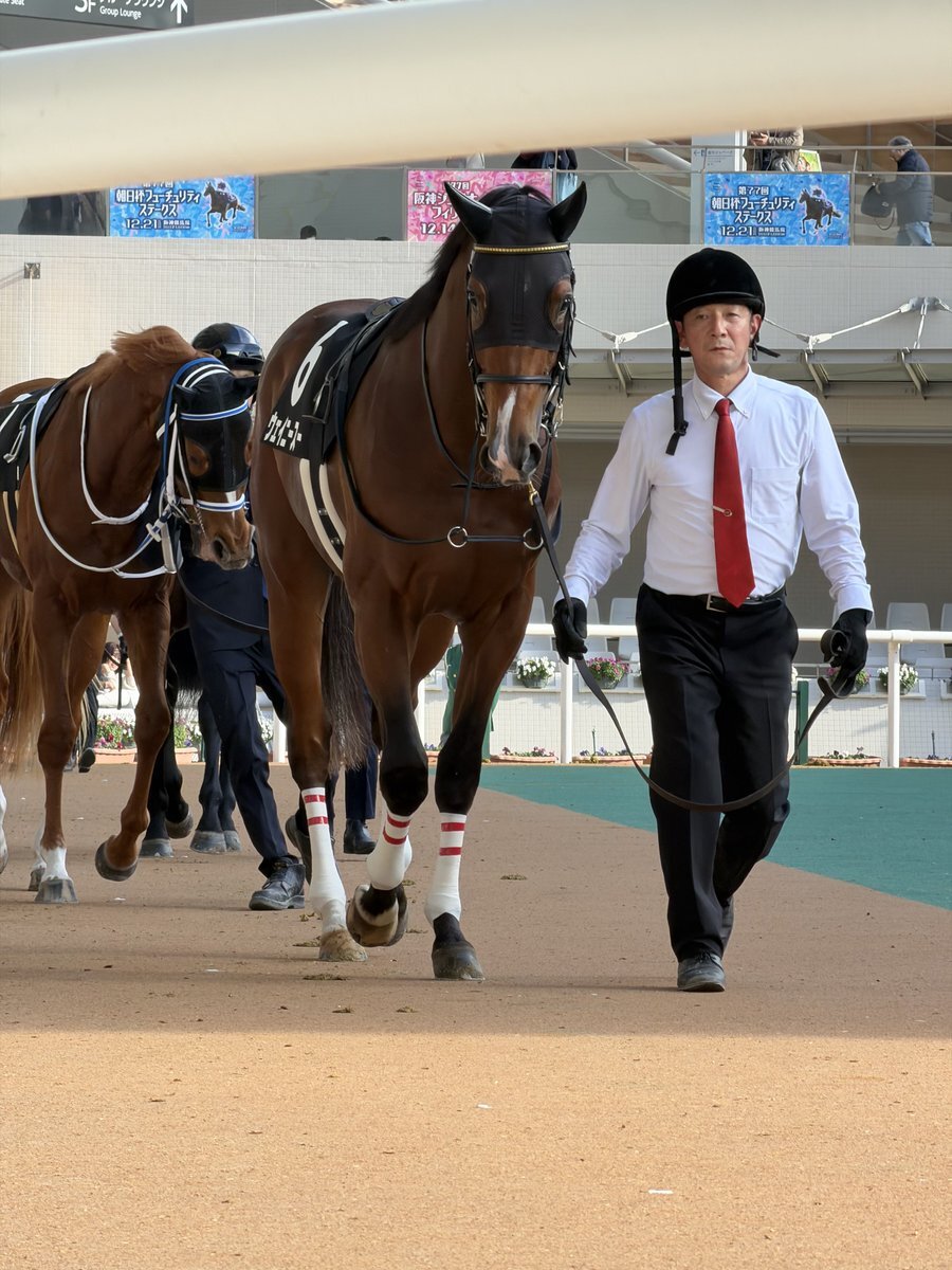 ウェイニースー、レース後のSNSでファンから様々な声